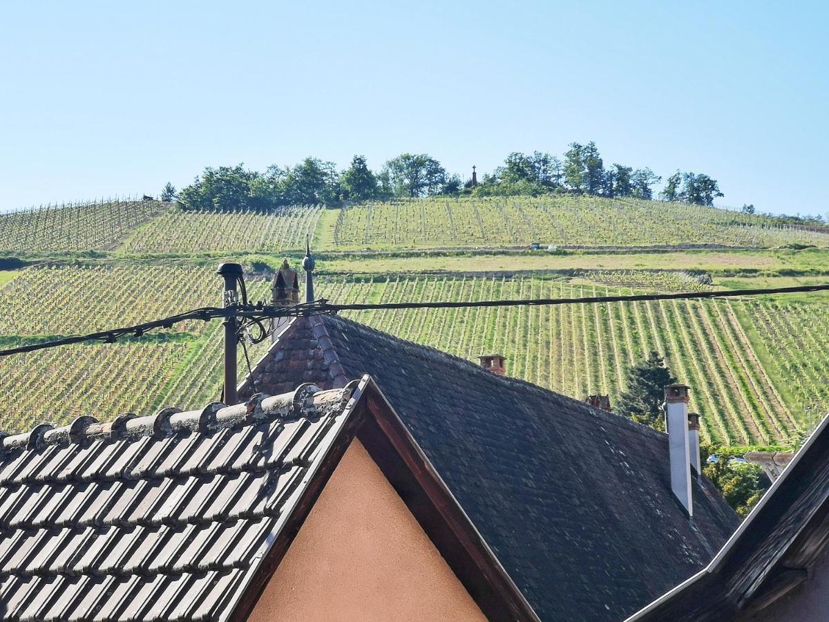 ✪ Le Convivial ✪ Duplex Alsacien ✪ Parking ✪ Rbnb✪ Turckheim Zewnętrze zdjęcie